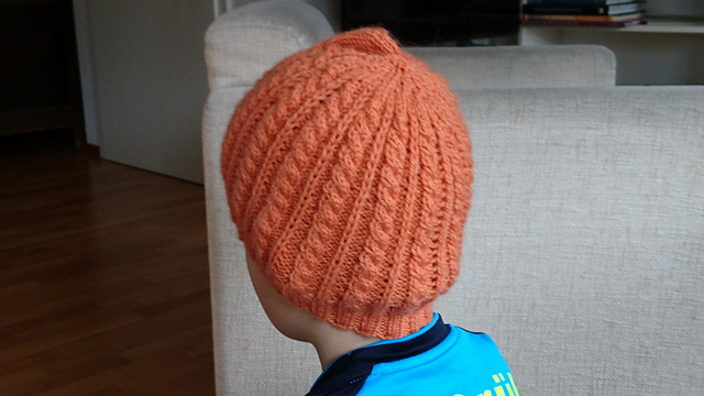 S8227 Mens Cap/Mütze