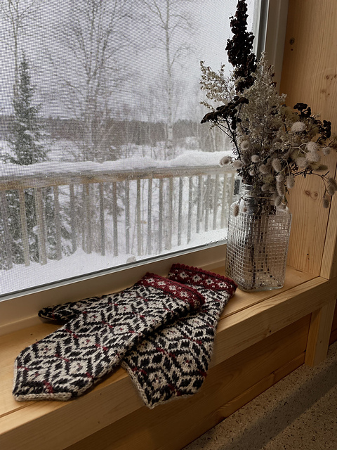 Snow Day Mitten