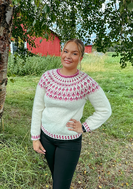 Raspberry Sweater (Fjallalopi)