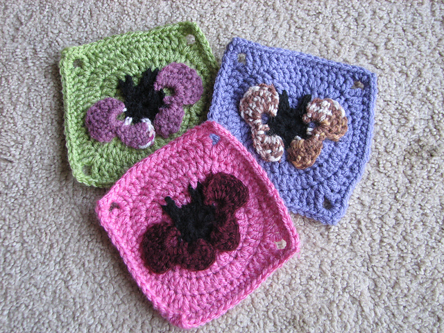 Chubby Butterfly Square (6" inches)