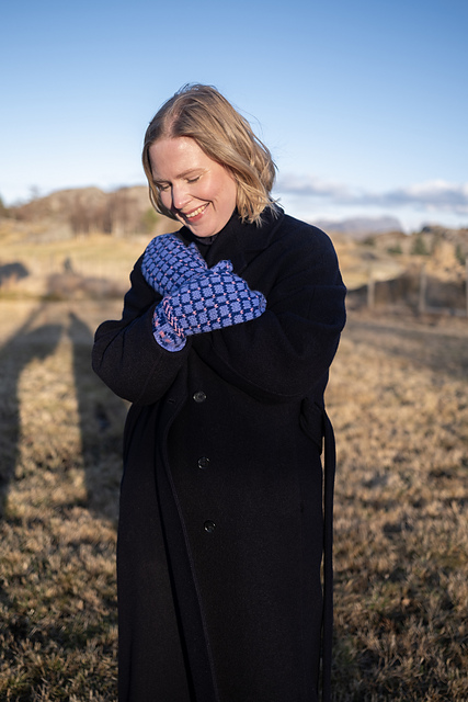 The blue hour mittens / Blåtimevottar