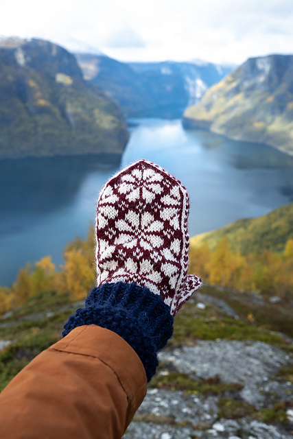 The Iben mitten / Ibenvotten