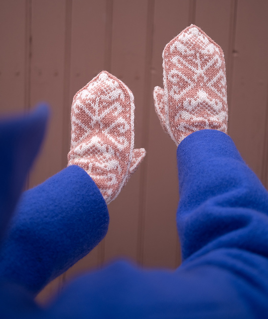 Park mittens / Parkvottar