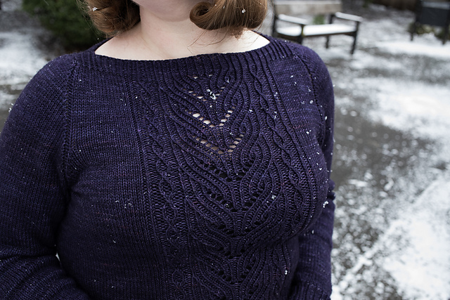 Synchestra Pullover