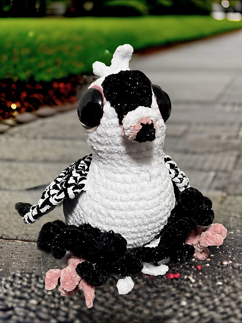 Bitters the Bohemian Pigeon