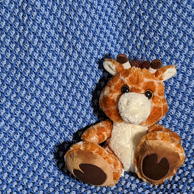 Honey Bee Blanket