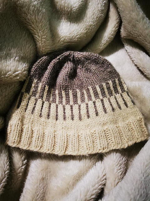Interlocking Design Hat