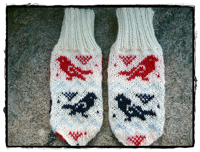 Fuglevott i fargar / Multicolor Bird Mittens