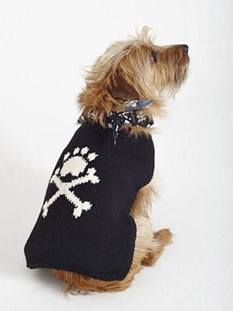 Pirate Pooch
