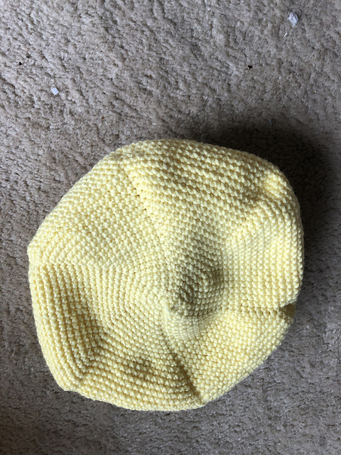 2460-231