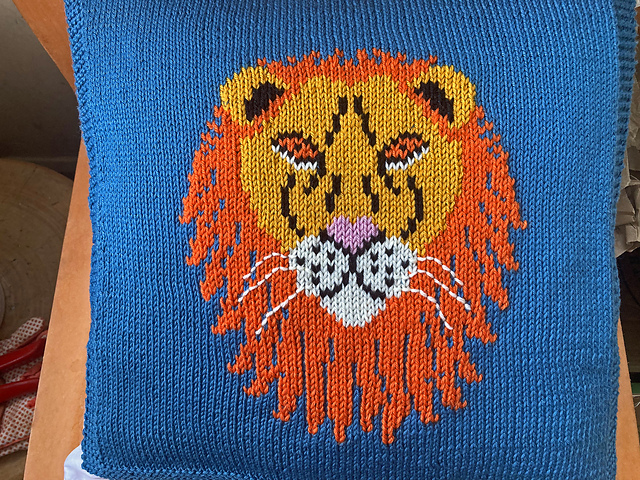 Big Cats - Lion