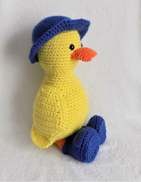 rainy duck