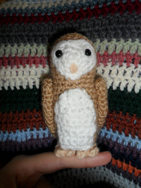 Titus the Barn Owl