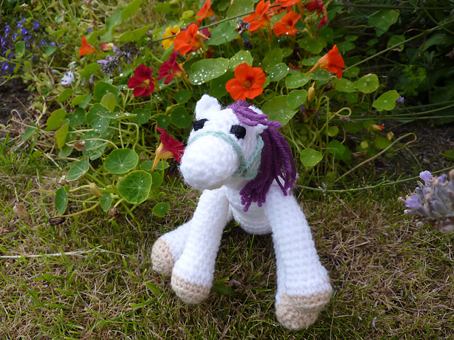 Camilla the Pretty Pony