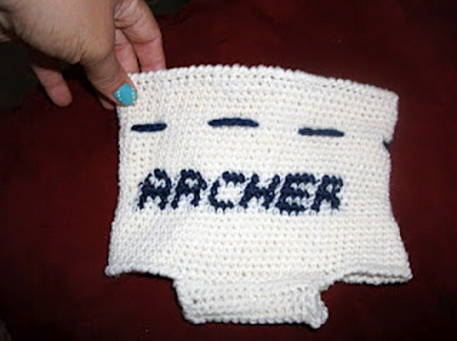 Personalized Diaper Cover / Soaker