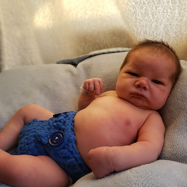 Everybaby Diaper Cover