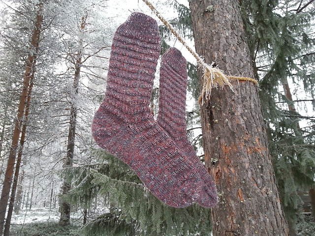Days Like This Socks