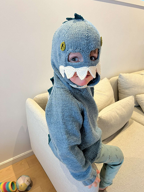 Scarysaurus Hooded Jumper