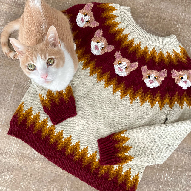Pawsome Pullover