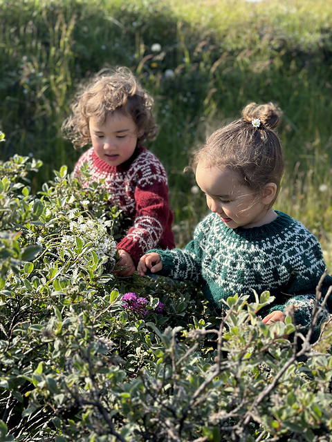 Inuk sweater - barn 1-4 år