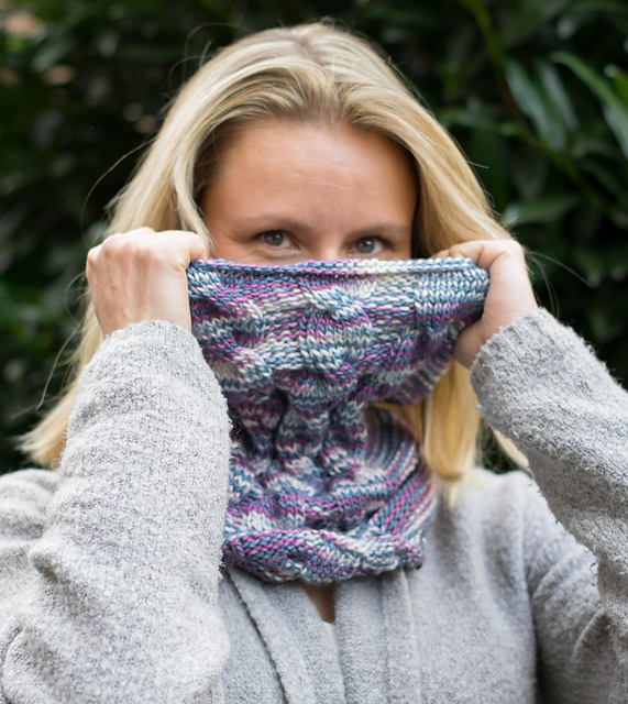 Cowl Hohenwiel