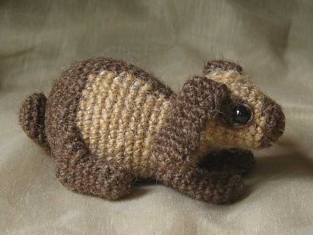 The lop rabbit