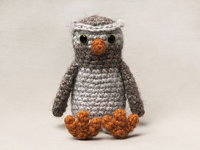 Odi the little owl