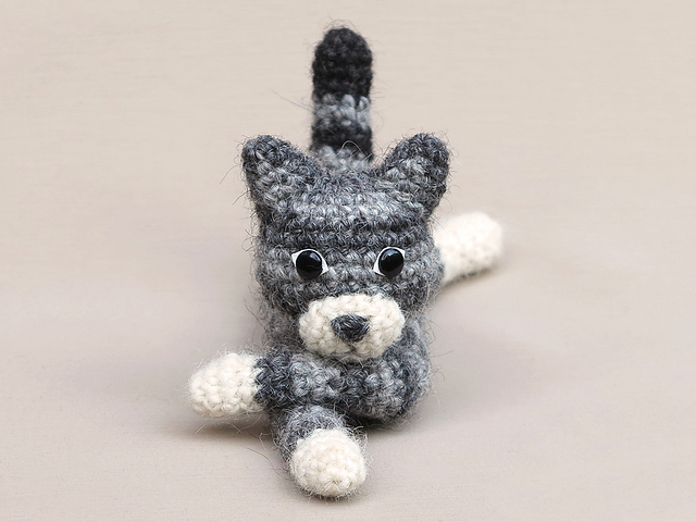 Dandylion kitty cat
