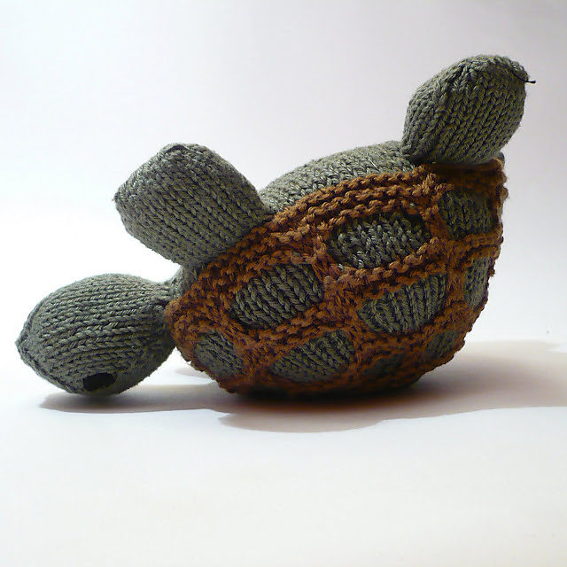 Antoine the turtle