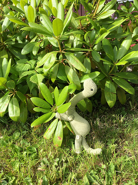Buttons the Dinosaur Diplodocus