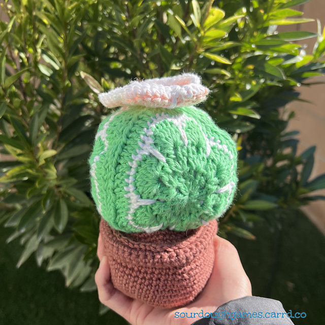 African Flower Granny Square Cactus