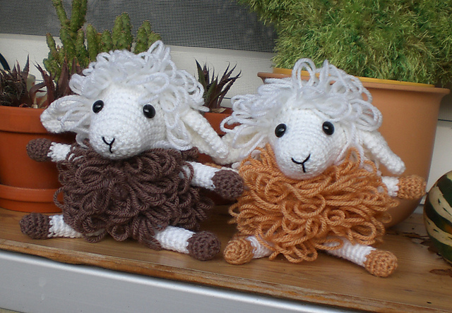 Curly the sheep