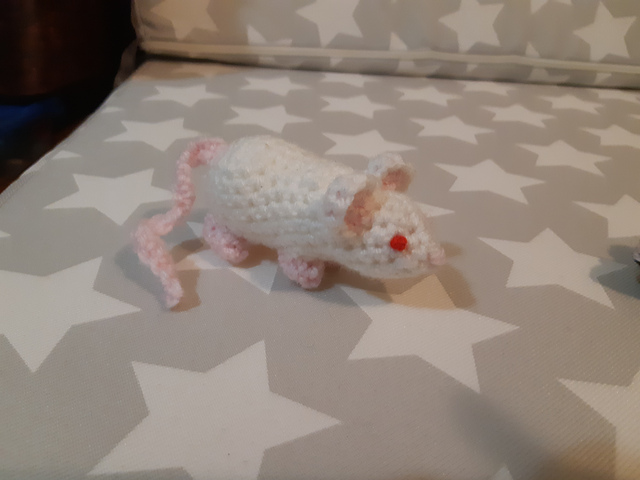 Model Organism: Mouse