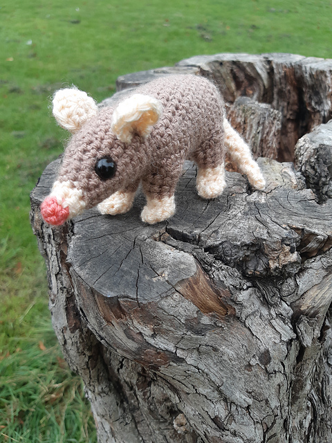 Model Organism: Opossum