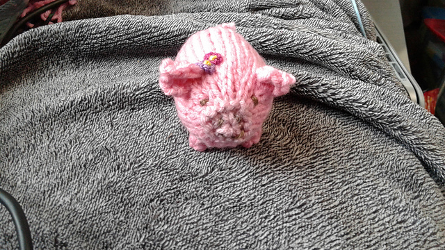Pretty Pig