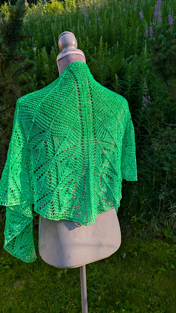 Mayfly Shawl