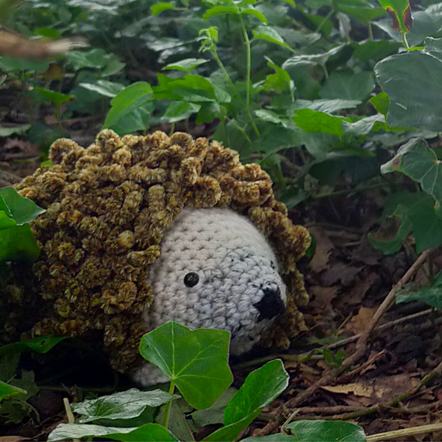 Hedgehog