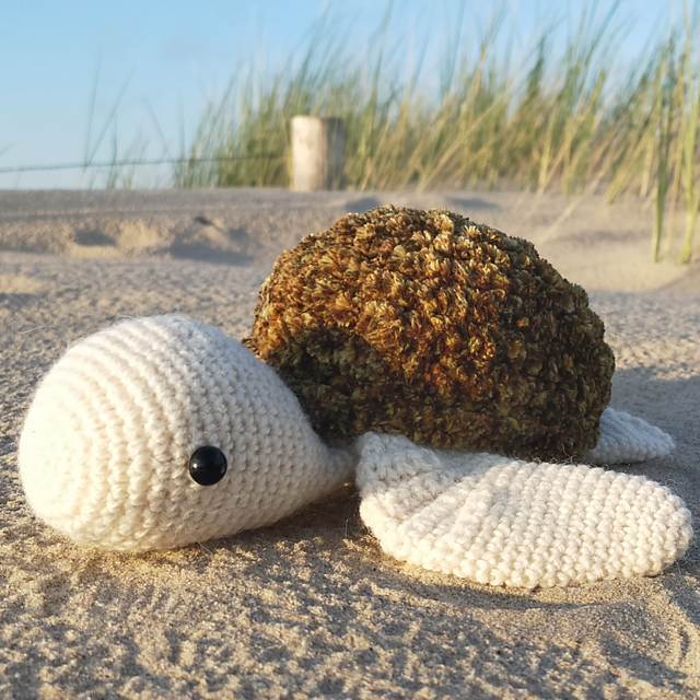 Sea Turtle