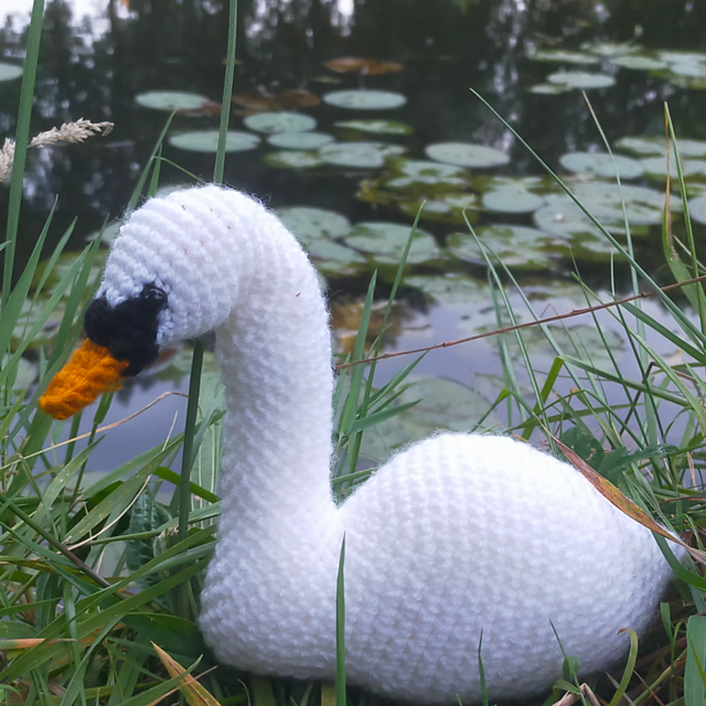 Swan