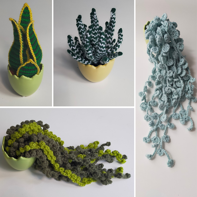 Little plants