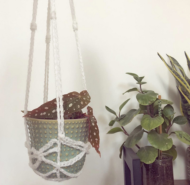 Plant Hanger
