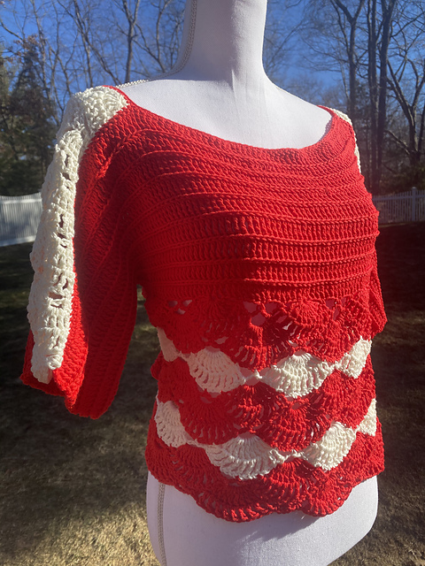 Valentine Lace Blouse Top Cover Up