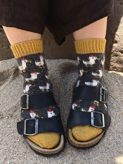 Seagull socks