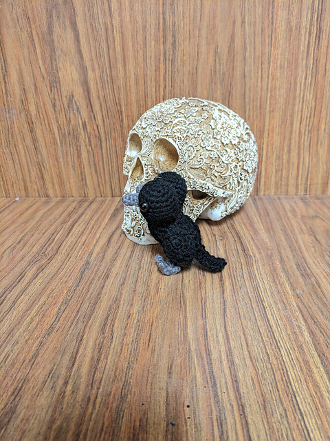 Twofinger the Two-Headed Crow