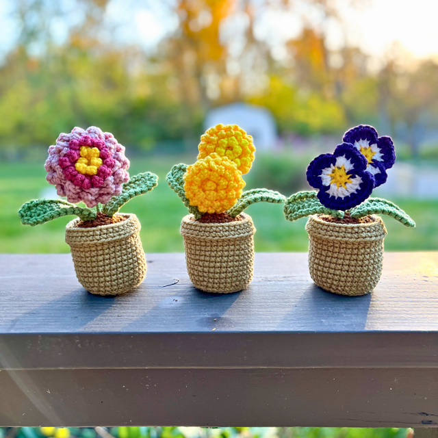 Fall Flowers
