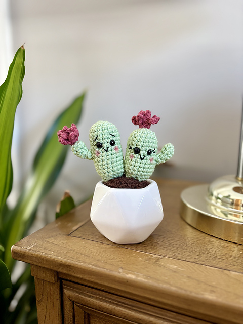 Valentine's Cactus