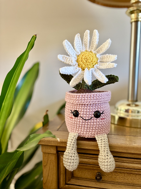 Daisy Buddy