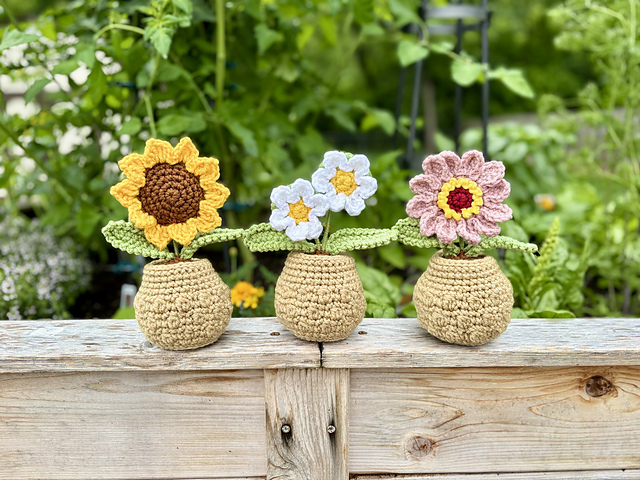 Summer Flowers