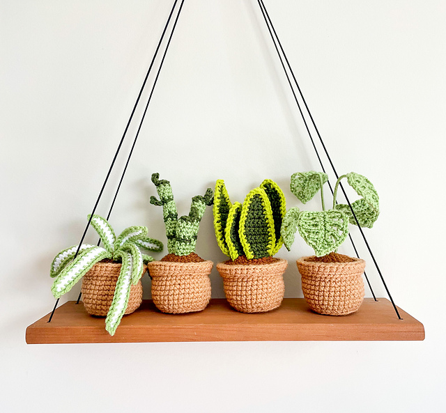 Mini House Plants