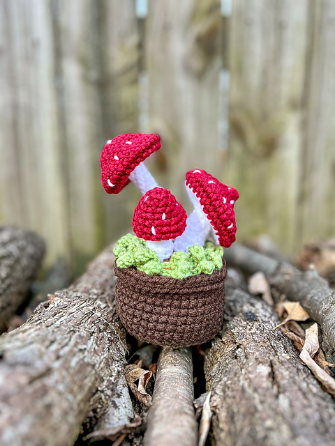 The Mossy Mushroom